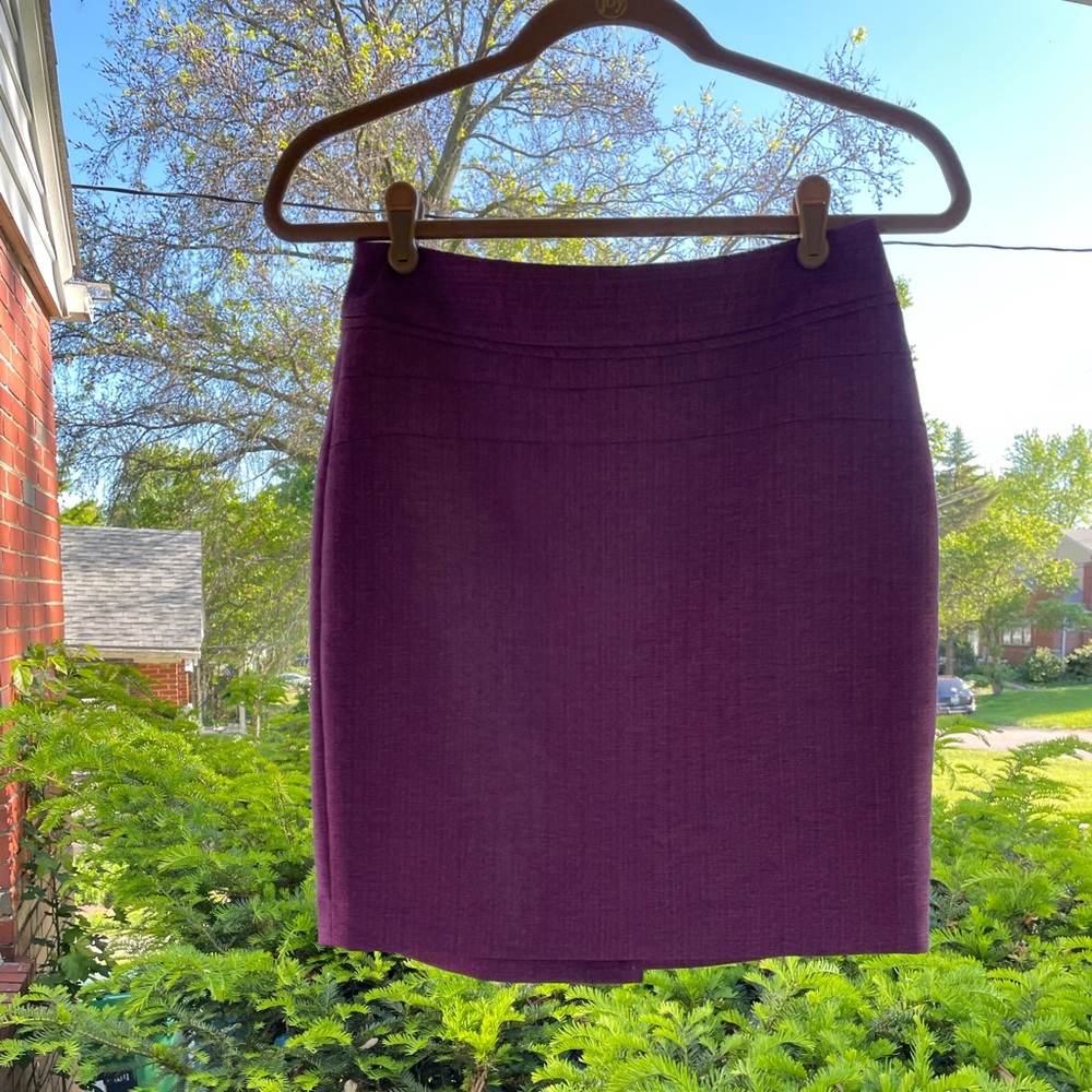 NWOT!Gorgeous The Limited Skirt!
